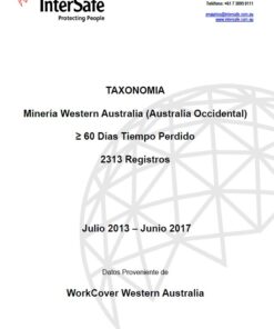 Mineria Western Australia (Australia Occidental) - >60 Dias Tiempo Perdido - 2313 Registros | Julio 2013 - Junio 2017