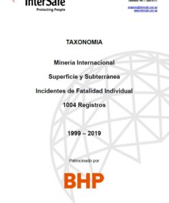 Mineria Internacional - Superficie y Subterránea - Incidentes de Fatalidad Individual – 1004 Registros | 1999-2019